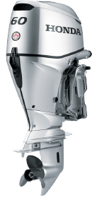 Image module
